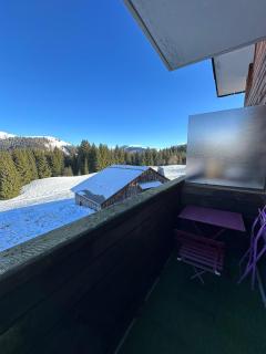 Studio au cœur du Praz-de-Lys - Les Pralyssimes - 1
