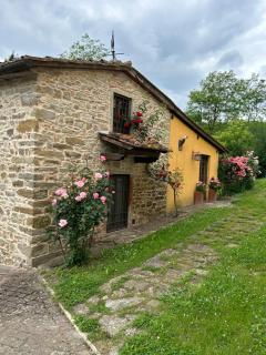 Le Mulina - Barberino di Mugello - 8