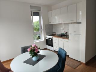 Apartman Popovic - Sokobanja - 5