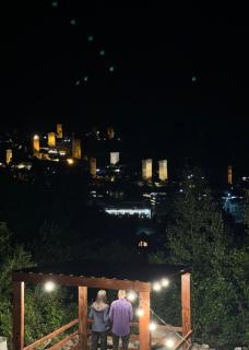 Cottage TowerView in Mestia - Mestia - 3