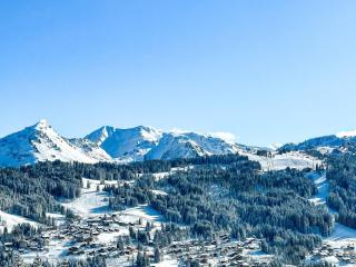 Appartement 3 pièces 5 pers, prox. pistes, centre Les Gets, garage, balcon S/O, Wi-Fi, animaux admis - FR-1-671-231 - Les Gets - 4