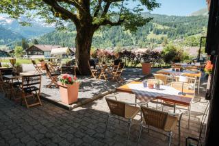 Gasthof Tenne - Lenk - 8