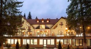 Vila Pinul si Mesteacanul - Poiana Brasov - 0