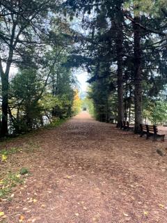 Northwoods Retreat - Lakefront with Dock and Beach access - Tomahawk - 1