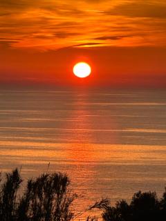 Casa Mimosa - Ischia - 0