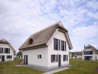 Reetland am Meer - Luxus Reetdachvilla mit 3 Schlafzimmern, Sauna und Kamin G05 - Dranske - 9