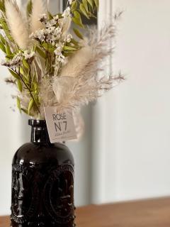 L'Opéra, hyper centre de Rennes - 6