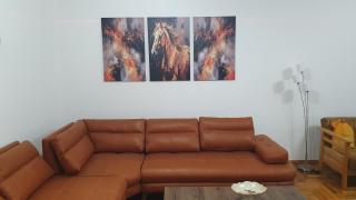 Apartment Biser - Novi Sad - 7