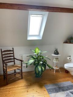 Charmante Altbauwohnung in perfekter Lage - Osnabrück - 6