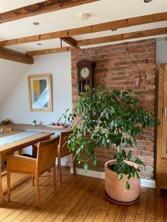 Charmante Altbauwohnung in perfekter Lage - Osnabrück - 5