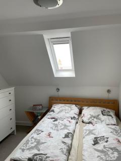 Charmante Altbauwohnung in perfekter Lage - Osnabrück - 2