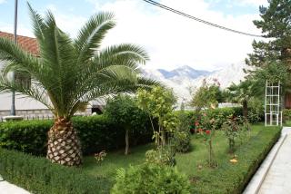 Apartments Radulovic - Kotor - 4