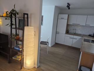 Helle und schöne Ferienwohnung im Grünen - 1