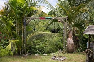 Bungalow Cactus - Le François - 2