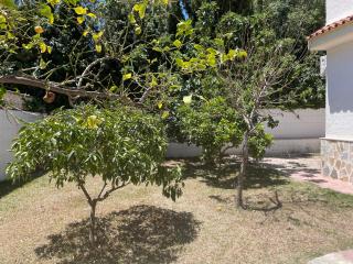 Villa con piscina a 5 min a pie de la playa y Pau5 - El Campello - 4