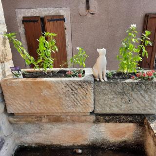 Gite Chez Laurette 12 - Sainte-Eulalie-dʼOlt - 8