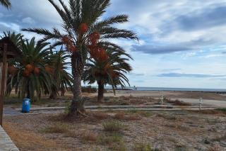 Como en casa - Puerto de Sagunto - 6
