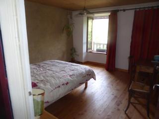 chambre d'hôte calme au milieu d'un jardin au Freney d'oisans - Le Freney-dʼOisans - 7