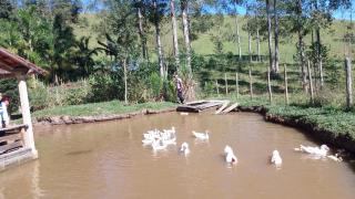 Casa de Campo Pé da Serra - Sitio em Campos Novos de Cunha - Cunha - 2