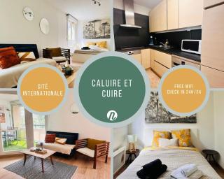 Appartement douillet et confortable - Caluire-et-Cuire - 0