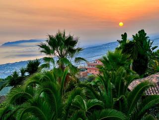 Finca Tenerife - Traumblick, tropischer Garten, viel Platz & Ruhe - Icod de los Vinos - 7