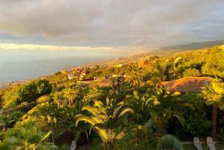 Finca Tenerife - Traumblick, tropischer Garten, viel Platz & Ruhe - 3