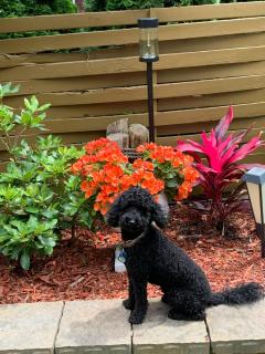 Beautiful private full condo - 7