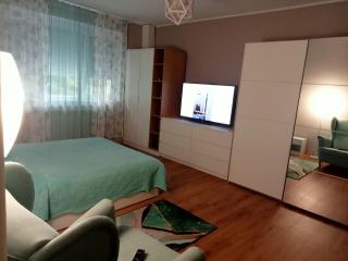 Apartament Miloia-Timisoara - Timişoara - 2