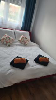 Top Apartament - Namysłów - 4