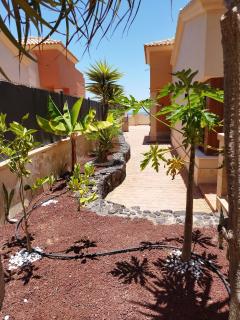 Casa Lily - Caleta de Fuste - 0
