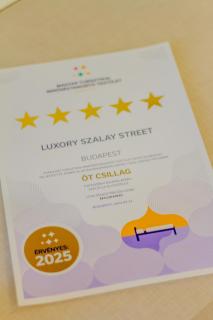 Luxury Apartment with balcony and sauna - Budapest - 8