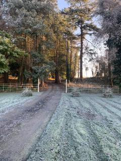 Lisglassock House - 6