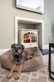 Pippin Cottage - Keswick - 4