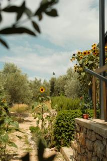 Mawa Cottage - 7