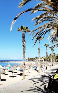 wonderful white appartament in playa las americas - 2