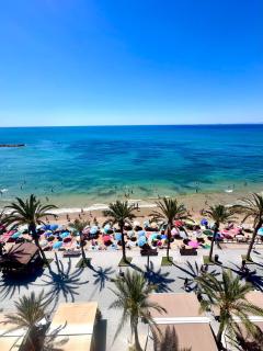 Flamingo Apartment - Torrevieja - 0