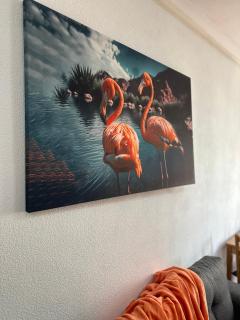 Flamingo Apartment - Torrevieja - 1
