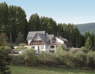 Wald Hotel Willingen - Willingen - 1