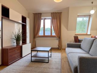 Nemunas Street Apartment - Kaunas - 8