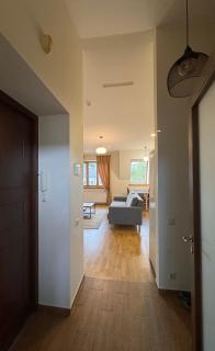 Nemunas Street Apartment - 6