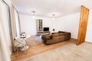 EVRA APARTMENTS ROYAL- FREE private parking - Timişoara - 8