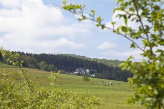 Wald Hotel Willingen - Willingen - 8