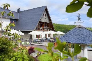 Wald Hotel Willingen - 1