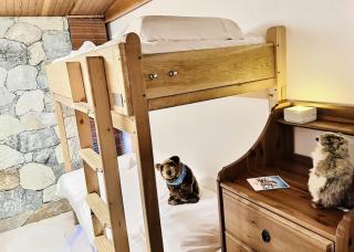 Résidence Le Cafetan - CHARMANT APPARTEMENT AU COEUR DES CHARTREUX MAE-5752 - 1