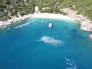 Private Bootstouren Motoryacht - Punat - 4