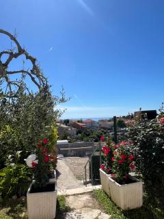 Via mezza - Nice - 3
