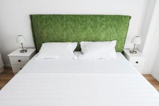EVRA APARTMENTS Royal 2 - Timişoara - 1
