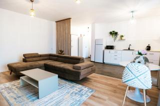 EVRA APARTMENTS Royal 2 - Timişoara - 7