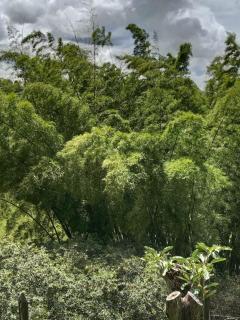 Hermosa Villa La Laja Rionegro - 3