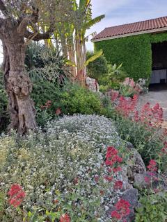 Chambre à la campagne - Bécheresse - 1